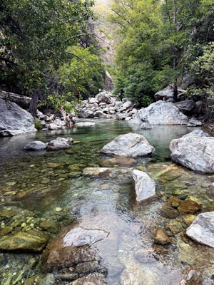 Yosemite crystal clear creeks